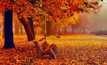 November Wallpapers