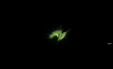 NVIDIA Surround Wallpapers