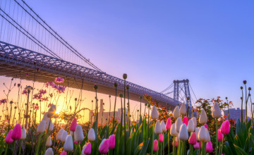 NYC Spring Wallpapers