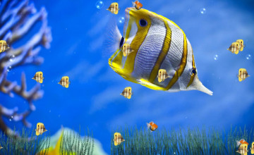 Ocean Life Desktop Wallpaper