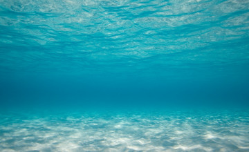 Ocean Underwater Wallpapers