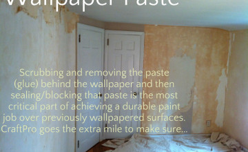 Can You Paint Over Wallpaper Glue Backing 49 Wallpaper Backing Paper On Wallpapersafari