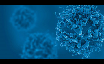 Oncology Backgrounds