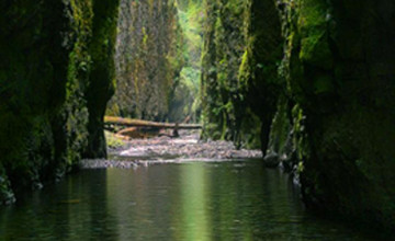 Oregon Nature Pictures