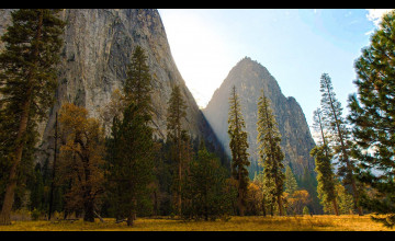 OS X Yosemite Pack