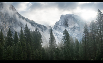 OS X Yosemite Wallpapers