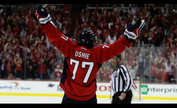 Oshie Wallpapers