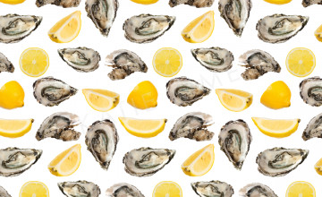 Oysters Wallpapers