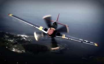 P 51 Mustang Wallpapers Backgrounds
