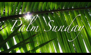 Palm Sunday for Desktops