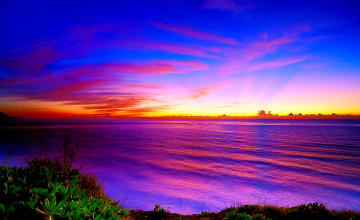 Photo Wallpapers