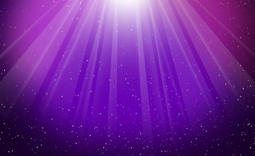 Pictures Of Purple Wallpapers