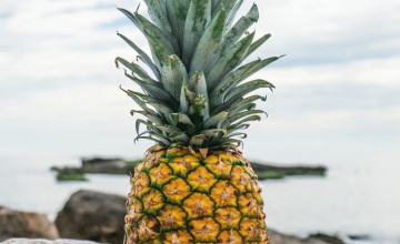 Pineapple Wallpapers