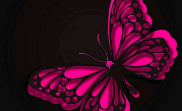 Pink and Black Butterfly Wallpaper
