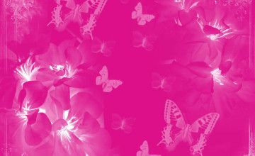 Pink Color Wallpapers