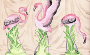 Pink Flamingo Wallpaper Border
