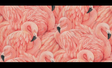 Pink Flamingo Wallpaper