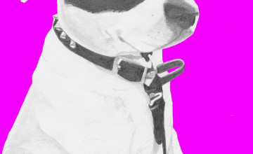 Pink Jack Russell