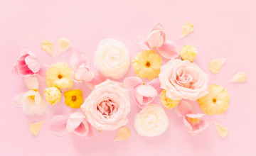 Pink Summer Flowers Desktop