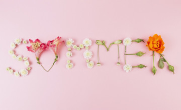 Pink Summer Flowers Wallpapers