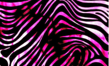 Pink Zebra Wallpaper Border