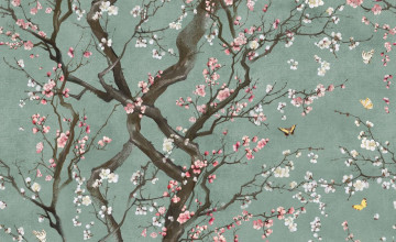 Plum Blossom Wallpapers