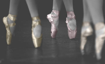 Pointe Shoes Wallpaper