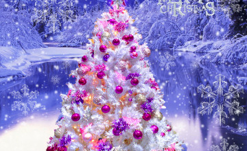 Pretty Christmas Backgrounds