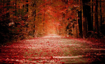 Pretty Wallpapers For Desktop