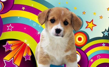 Puppy Backgrounds For Computer