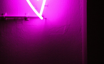 Purple and Pink Neon