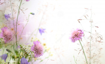 Purple Flower Wallpaper Border