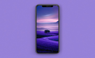 Purple iPhone 14 Wallpapers