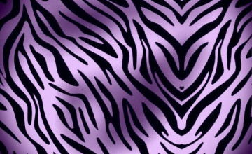 Purple Zebra Print Wallpapers