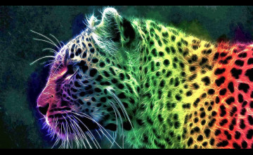Rainbow Cheetah Wallpapers