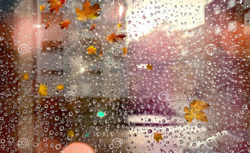 Raindrop Autumn Wallpapers
