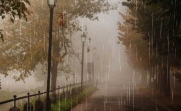 Raining Wallpapers