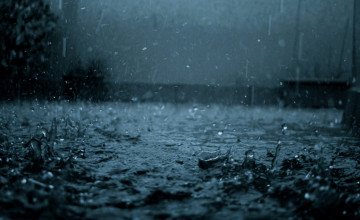 Rainy Desktop Wallpapers