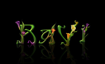 Ravy Wallpapers