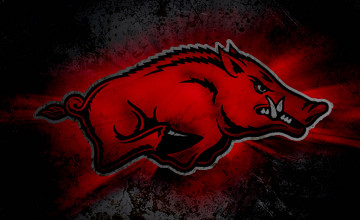Razorback Wallpapers for Computer Screen