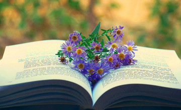 Reading Book Wallpapers