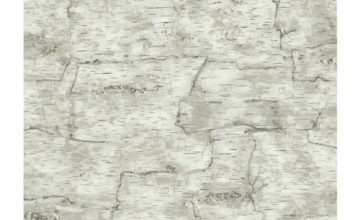 Real Birch Bark Wallpaper