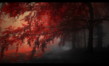 Red And Black Aesthetic Wallpapers