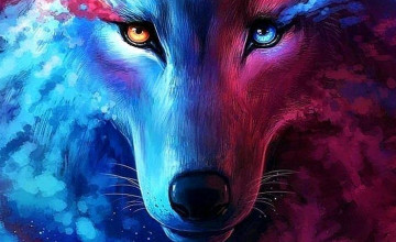 Red And Blue Fox Wallpapers