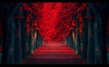 Red Tree Wallpaper