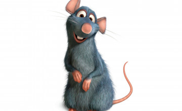 Remy The Rat Wallpapers