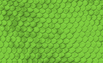 Reptile Textured Wallpaper