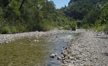 Riverbank Backgrounds
