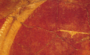 Roman Wallpapers Designs