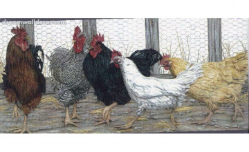 Rooster and Hen Wallpaper Border
